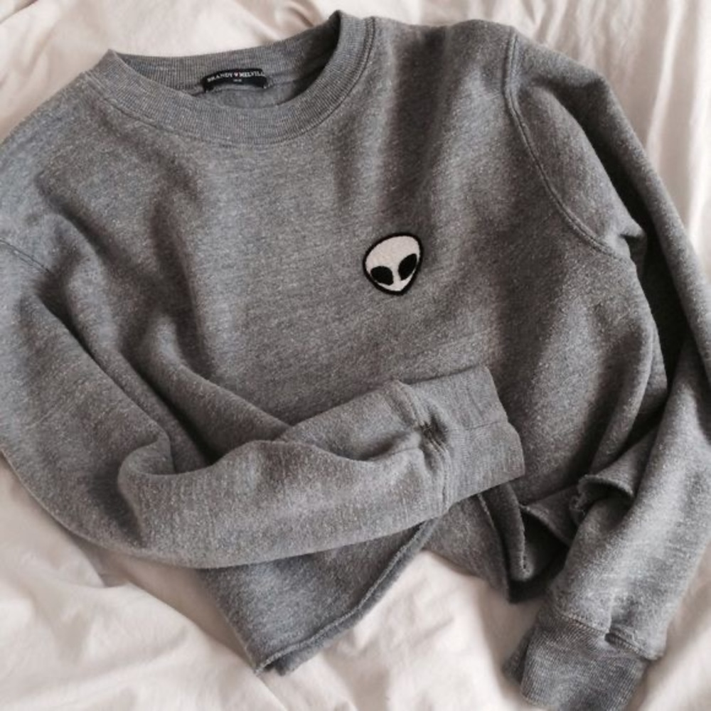 BRANDY MELVILLE ALIEN CROPPED SWEATER